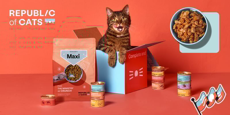 Republic of cats promo image
