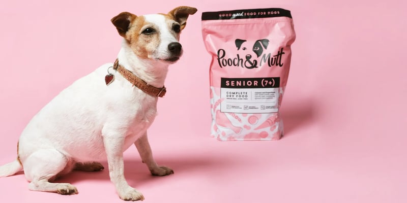 a senior jack russell sitting next to a bag of pooch and mutt senior food