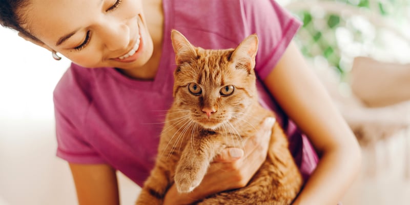 A woman smiling and looking down at her ginger cat.