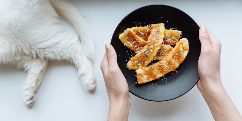 a plate of sweet bananas with white cat legs to the left of the image