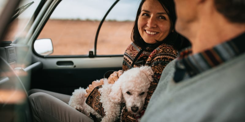 A man and woman accompanied by a dog inside a car.