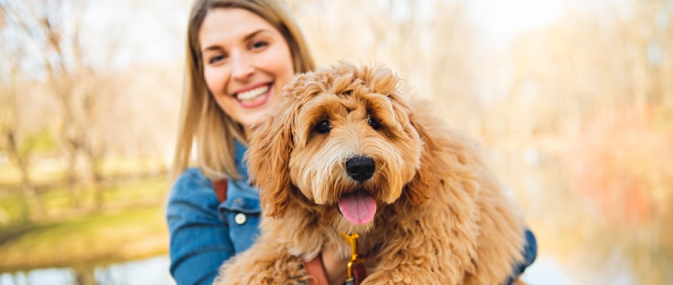 Labradoodle being held by owner in front of a lake