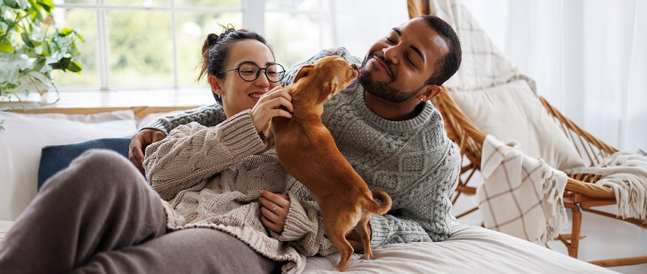 A couple with their small dog, the dog is licking the man's face.