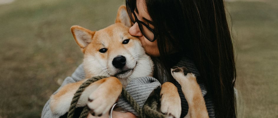 A shiba is being held closely by a woman