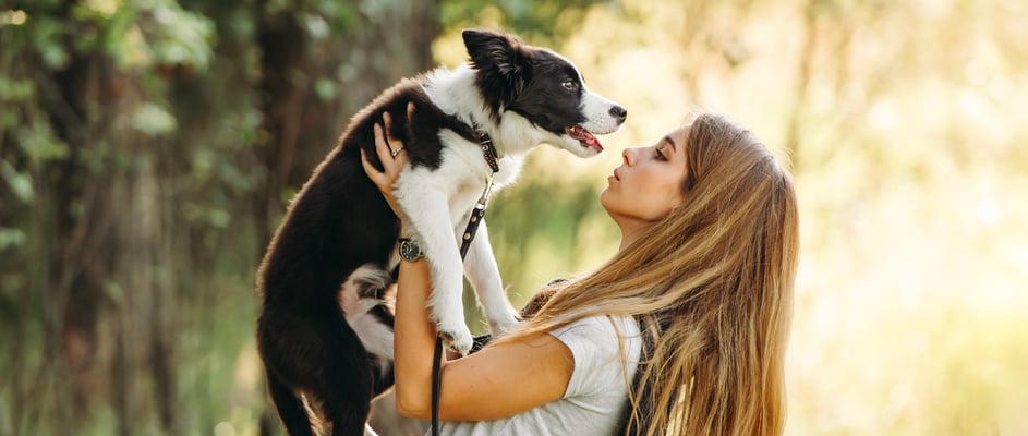 A woman holding her border collie up.