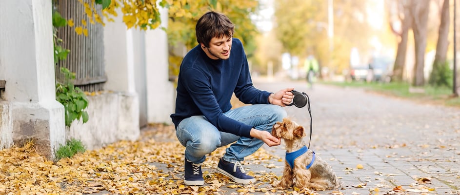 A man stroking his Yorkie's chin.