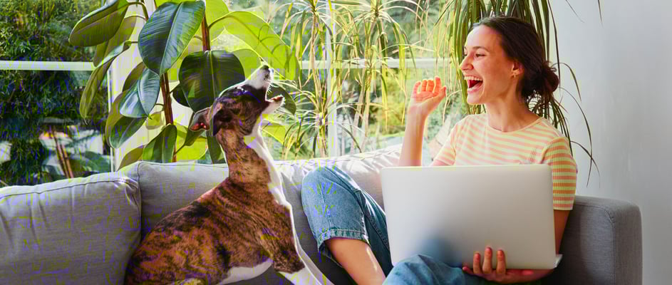 A woman and her Whippet laughing together on a couch.