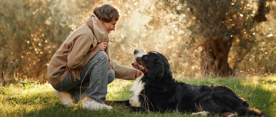 A woman stroking her BMD in the grass.