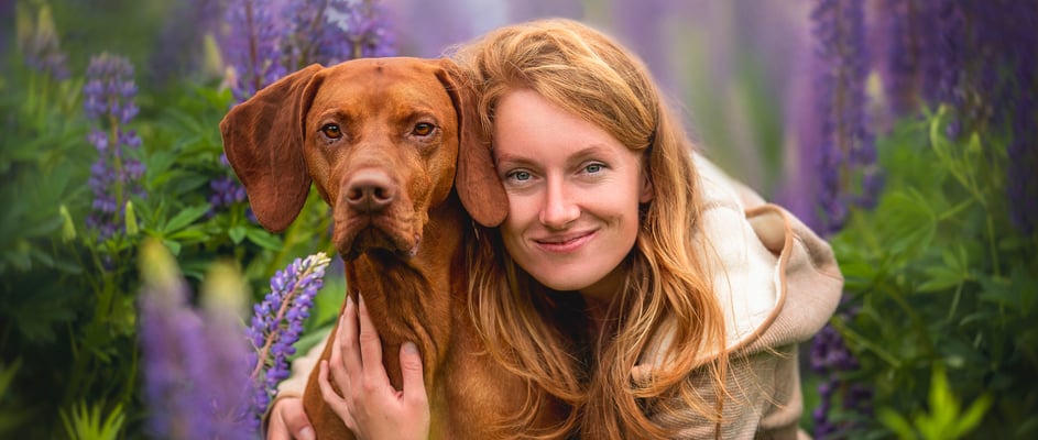 A woman hugging her hungarian vizsla in a field of purple flowers.