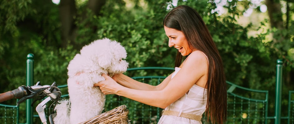 A woman holding her Bichon Frise up in a bicycle basket.