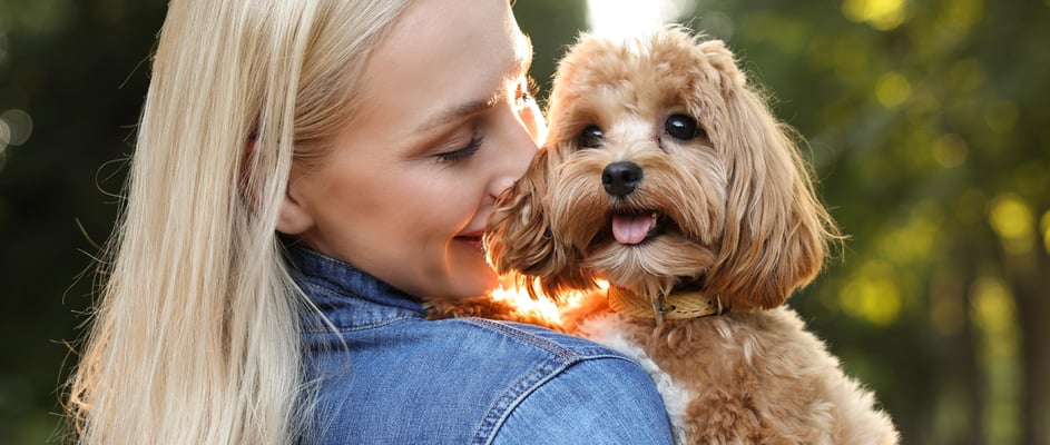 A blonde-haired woman holding a cream Cavapoo.