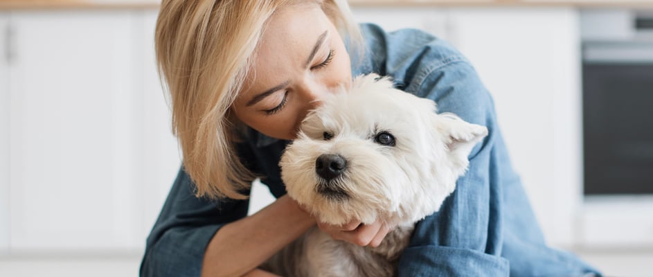 Wst Highland Terrier being kissed by owner