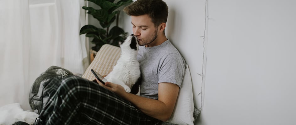 A person using a mobile phone while holding their cat in their lap. The cat is rubbing against their face.