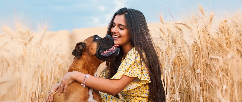 A woman and her boxer in a corn field.