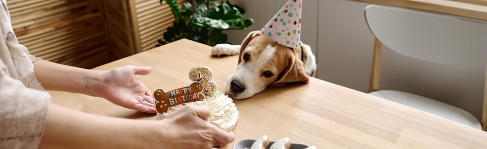 A dog wearing a party hat leaning across a table to get his birthday cake.